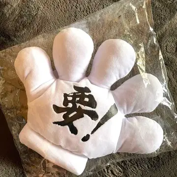 NAOTO 장갑 DA! 필수