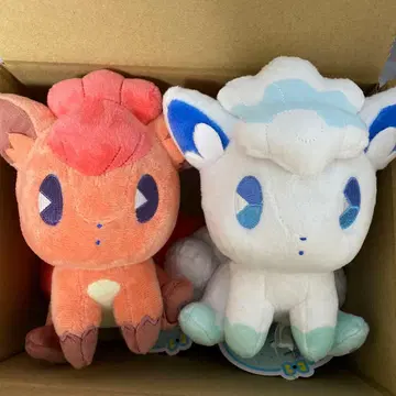 사이코 소다 프레쉬 로콘 & 알로라 로콘 세트