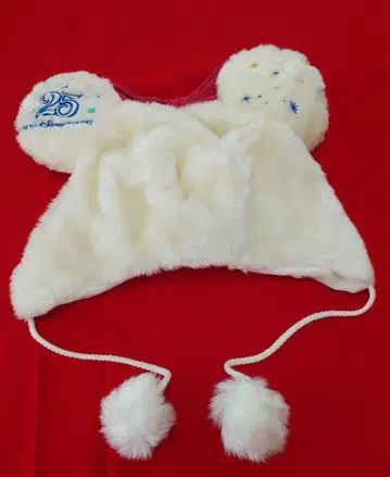 디즈니 리조트 25주년 팬캡