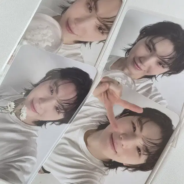 세븐틴 베스트앨범 디어버전 캐럿반 우지 포카 일괄