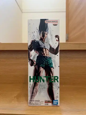HUNTER x HUNTER 곤 프릭스 피그라이프