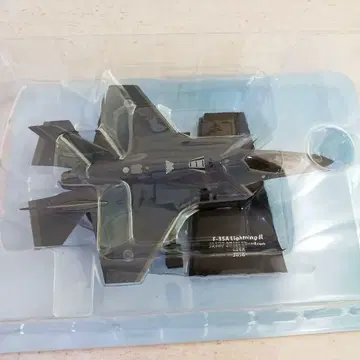 에어 파이터 컬렉션 F-35A 라이트닝 II 제302 비행대 2020