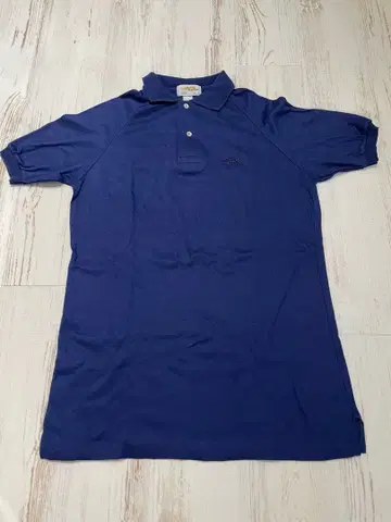 sears 브라 긴 드래곤 레어 빈티지