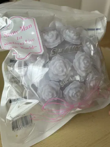 Snow Man 응원봉 스타디움