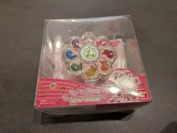 탭 케이스 컬렉션