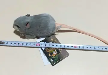 HANSA 봉제 인형 하이이로 쥐