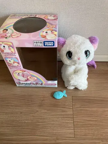 꽉 껴안고 두근! 응석받이 고양이