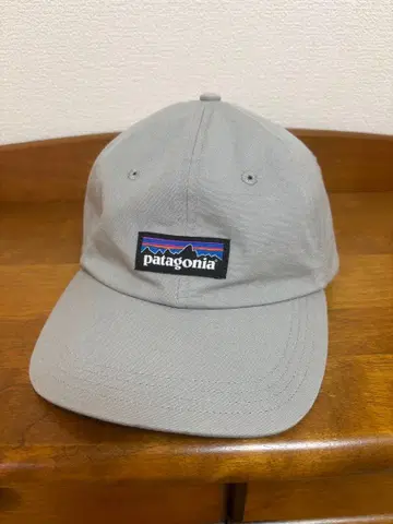 patagonia 그레이 캡