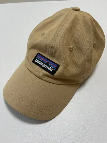patagonia 베이지 6 패널 캡