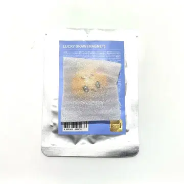 SEVENTEEN MINITEEN  마그넷