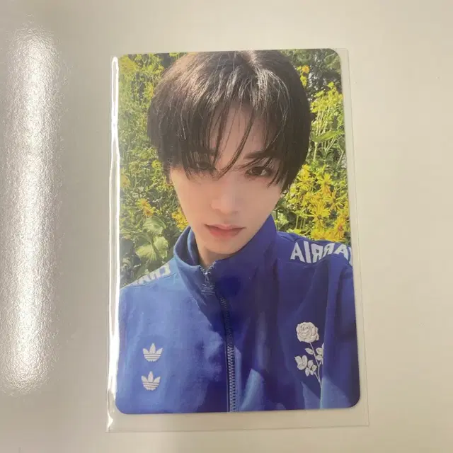 보이넥스트도어 태산 디액션 프레임반 앨범 포카 양도합니다