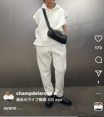 아얀 ayane 사슴 무늬 본딩 셋업 화이트