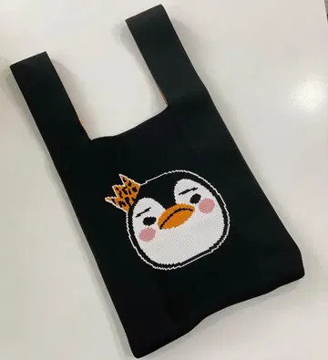 2PM 준호 펭귄 니트 백 대