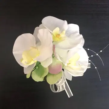 팔레놉시스 코사지 ( 입학식 / 졸업식 / 발표회 / 파티 )