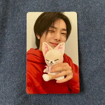 straykids 스키즈 구매 혜택 아이엔 주토피아 skzoo