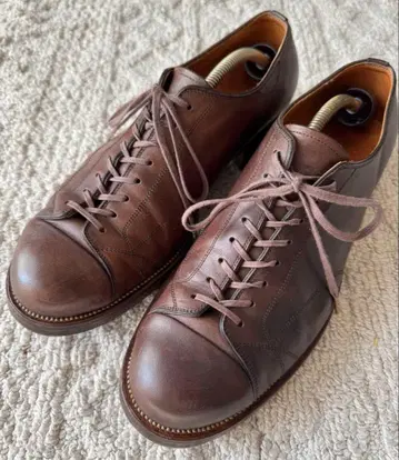 NICENESS 나이스니스 EVANS