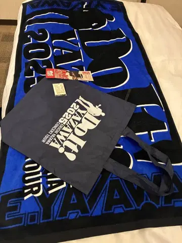 야자와 에이요시 2025 DoIt! 투어 SS석 특전 굿즈