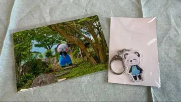 사카이 씨다 아크릴 키링 (사진 포함)