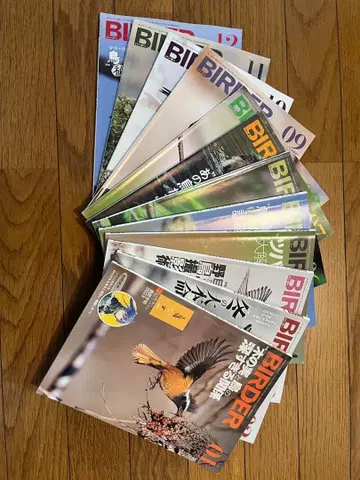 BIRDER (2023년 1월-12월호) 12권 세트