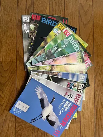 BIRDER (2024년 1월~12월호) 12권 세트