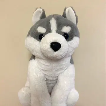 흐물흐물 시베리안 허스키 봉제 인형
