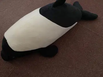 이로와케돌고래 봉제 인형