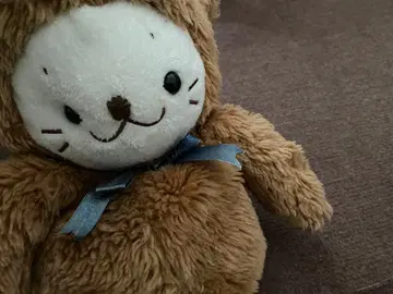 테디베어 시로탄 봉제 인형