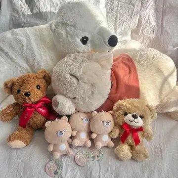 곰 봉제 인형 세트