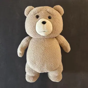테드 봉제 인형