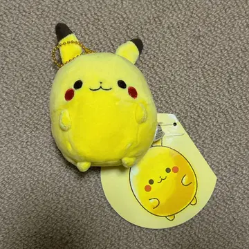 무귯토 피카츄 택 포함 포켓몬 센터 한정판