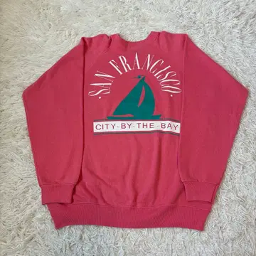 Hanes 헤인즈 구제 의류 핑크 맨투맨 트레이닝복 90s