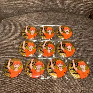 하이큐 애니메이션 카드 홀로그램 캔뱃지 종이비행기 히나타 쇼요 10개