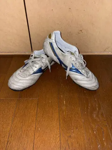 모렐리아 IIJAPAN 한정판 색상 27.5