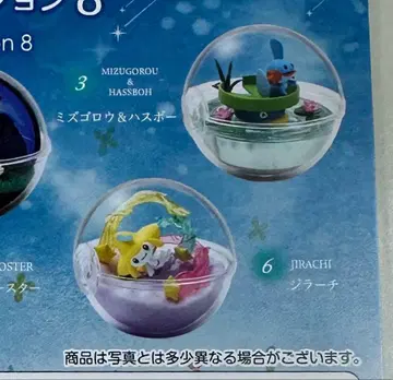 포켓몬스터 테라리움 컬렉션 8 지라치 물짱이&물꼬마