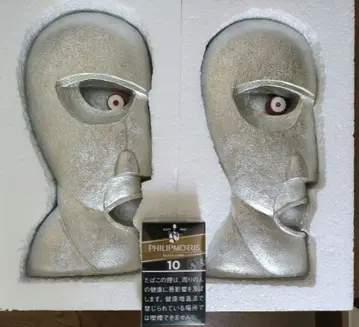 핑크 플로이드 대 TSUI 피규어