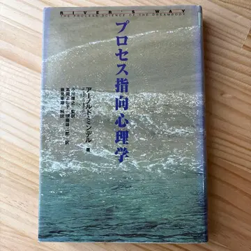 프로세스 지향 심리학