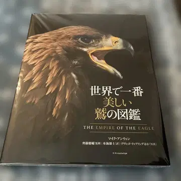 세상에서 가장 아름다운 독수리 도감