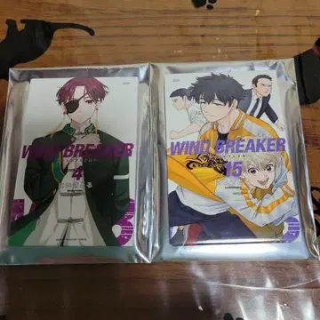 WINDBREAKER전 랜덤 캔 마그넷 세트