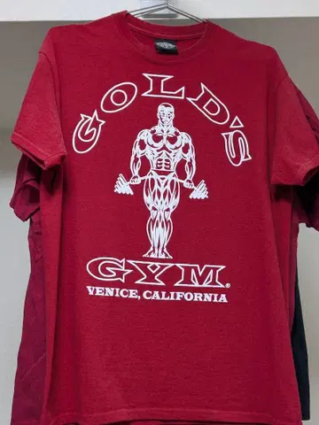 GOLD'S GYM T셔츠 (블랙 베니스, 레드 베니스, 레드 삿포로)
