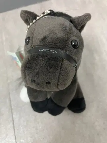 미사용 새상품 크루아듀노르 아이돌 호스 봉제 인형 일본 더비 S 사이즈