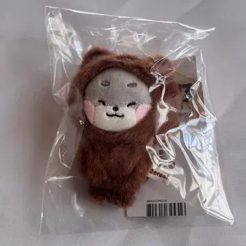 zeroni 제베원 ZB1 고니니 linefriends