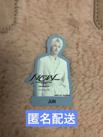 준 SEVENTEEN 우메다 스카이 빌딩 스티커 bunkasai NEW