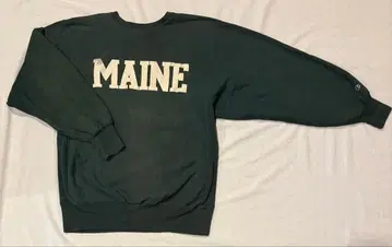 챔피온 리버스 위브 XXL