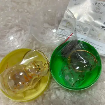 시이플라 한정판 우리 애기 털뭉치 꿩무늬 고양이 갈색 줄무늬 고양이