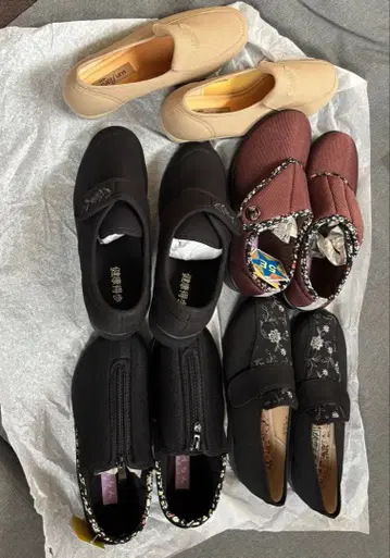 주식회사 아이키의 [테라쿠츠] 모음 (5켤레 세트)