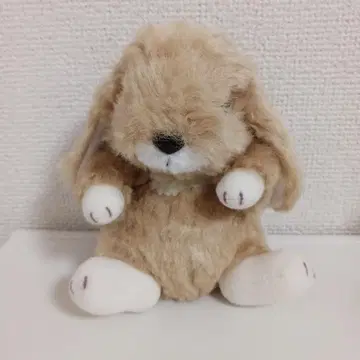 스타차일드 드롭이어 베이지 S