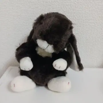 스타차일드롭 이어 다크 브라운 S 사이즈