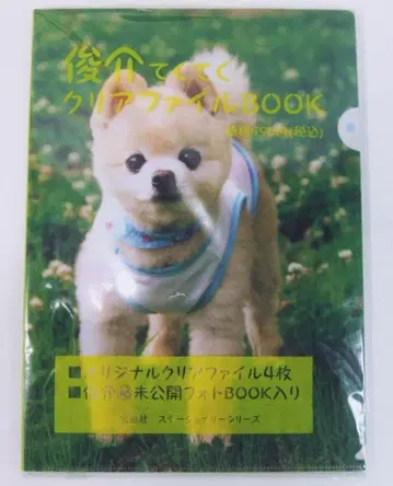 슌스케 테쿠테쿠 클리어 파일 BOOK