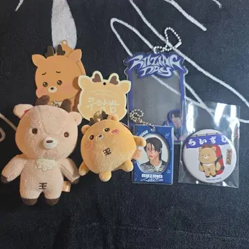 RIIZE 성찬 우라밤 봉제 인형 트레이딩 카드 케이스 캔뱃지