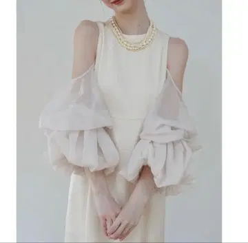 Acka 쉬어 멜트 슬리브 드레스